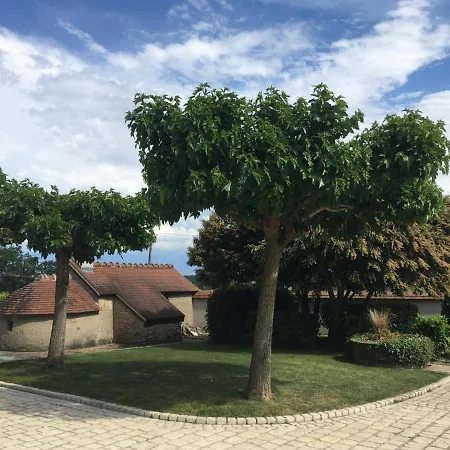 Villa Avec Piscine Chauffee Et Jardin Pres De Moulins Lantställe